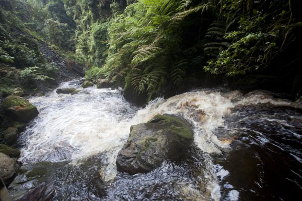 isumo-waterfall-nyungwe-forest