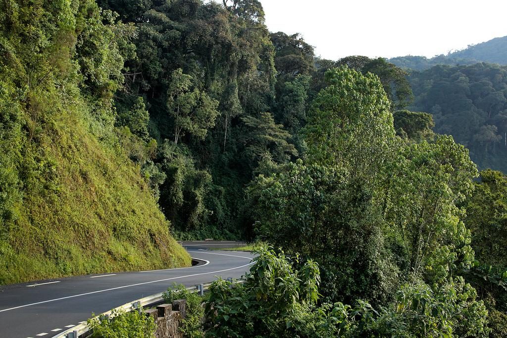 Driving to Nyungwe Forests