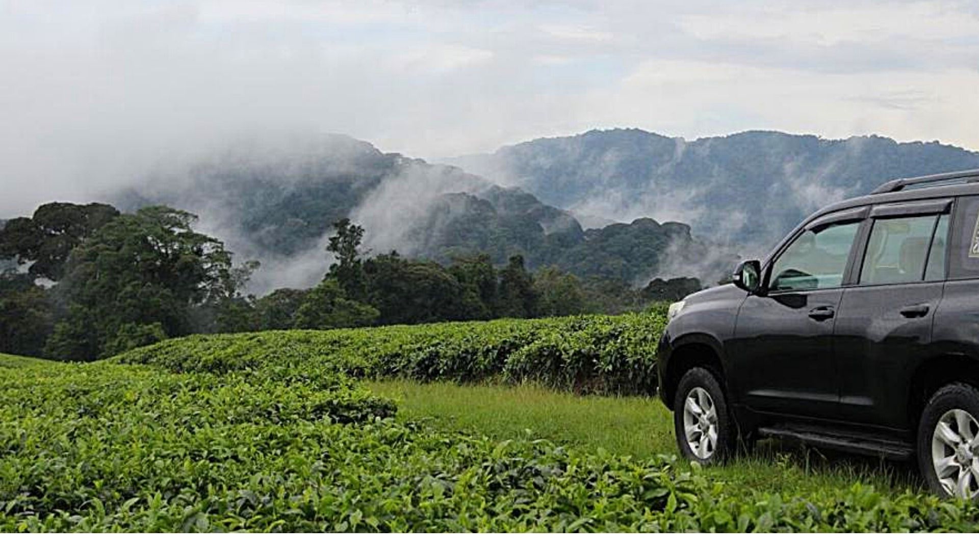 Distance From Kigali To Nyungwe Forest