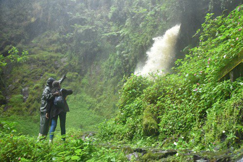 Camping Nyungwe Forest