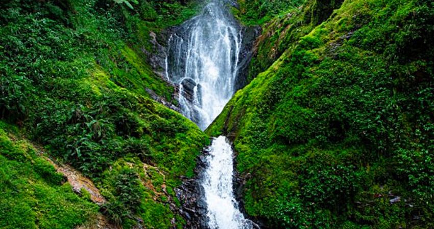 Ndambarare  Waterfall Trail