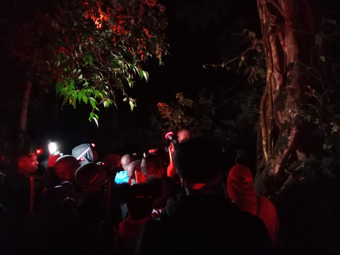 Nyungwe Forest Night Trekking