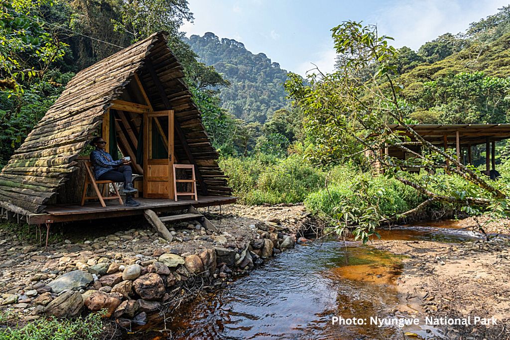 Cyinzobe Trail In Nyungwe Forest