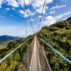 Canopy-Walk