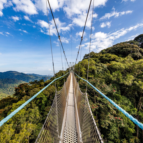 Canopy-Walk