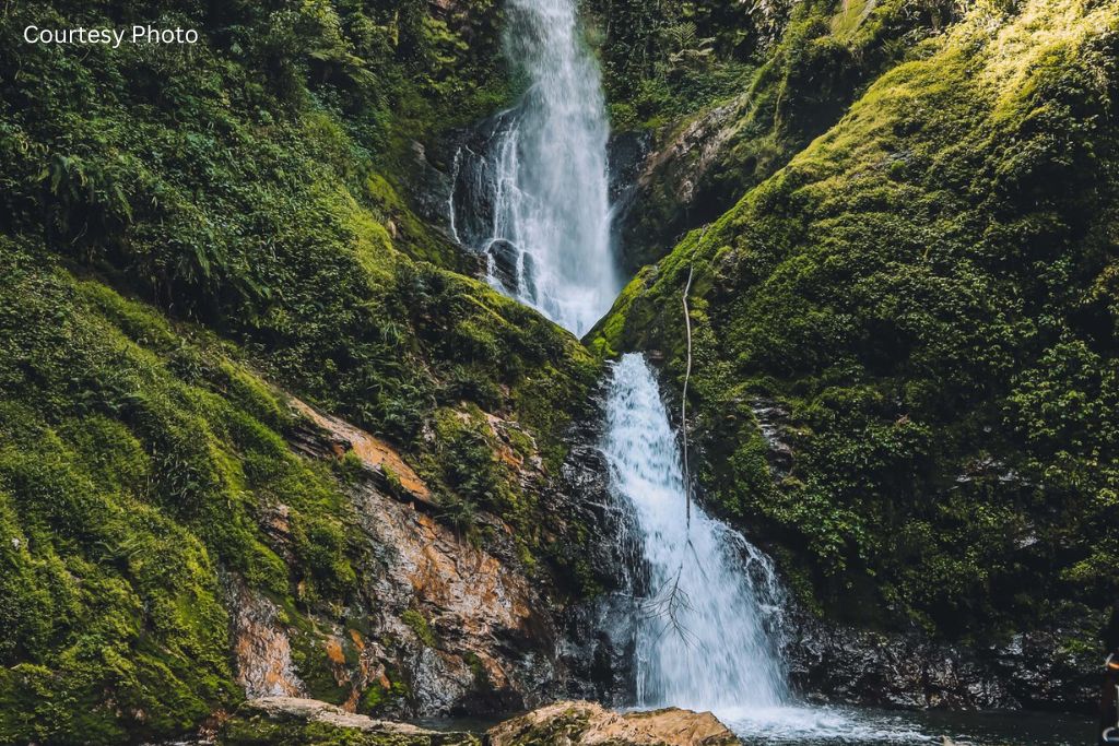 Ndambarare Waterfall & Canopy Walk Tour In Nyungwe Forest