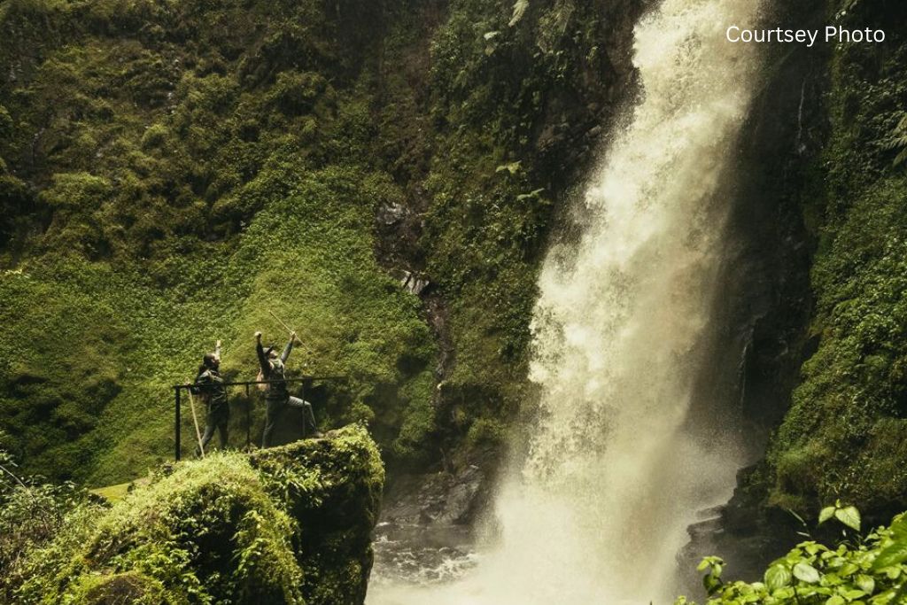 Nyungwe Canopy Walk And Isumo Walk In 1 Day